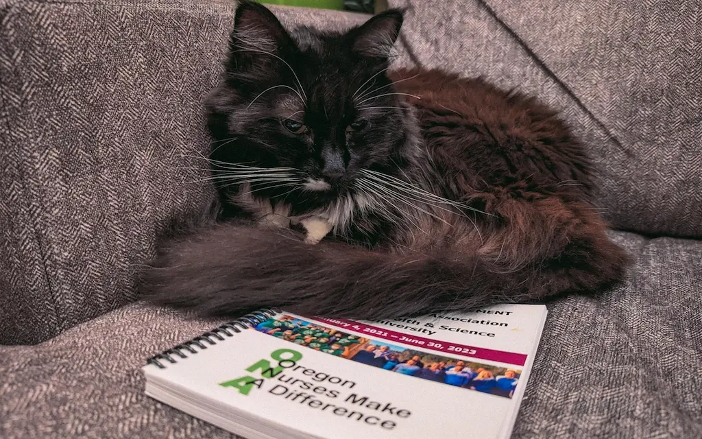 photo of a floofy tuxedo cat partially lying on the ONA contract that ended in 2023